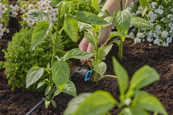 Gardena Micro-Drip-System Regulierbarer Reihentropfer 1-8 l/h, druckregulierend - Inhalt: 5 Reihentropfer, 1 Verschlusskappe (13314-20)