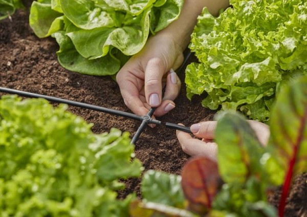 Gardena Micro-Drip-System Kreuzstück 4,6 mm (3/16") - Inhalt: 10 Stück (13214-20)