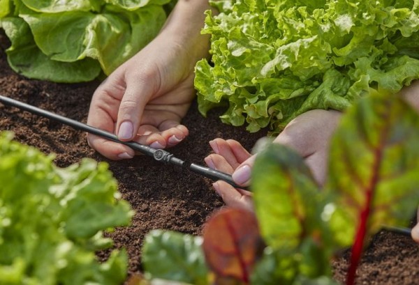 Gardena Micro-Drip-System Verbinder 4,6 mm (3/16") - Inhalt: 10 Stück (13213-20)