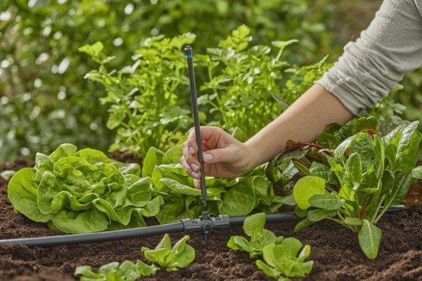 Gardena Micro-Drip-System Verlängerungsrohr für Sprühdüsen - Inhalt: 5 Stück (13326-20)