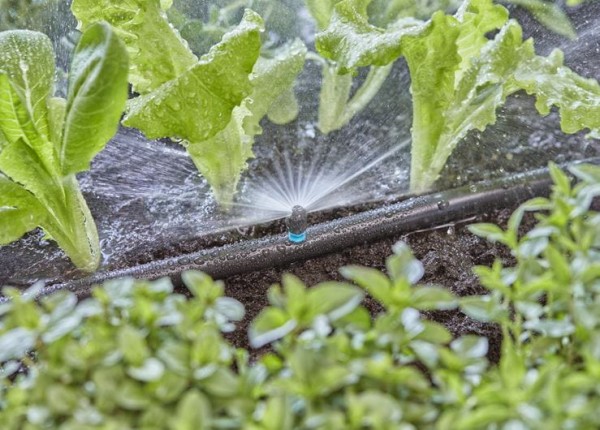 Gardena Micro-Drip-System Sprühdüse 180 Grad - Inhalt: 5 Stück (13321-20)